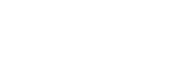 Dominus MMA